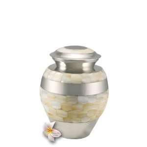  Small Nickel Mother of Pearl Cremation Urn: Home & Kitchen