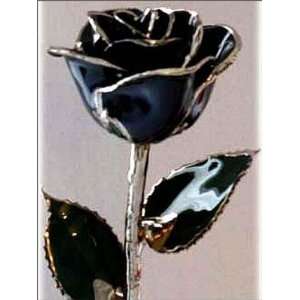  Black Lacquer Platinum Trimmed Rose: Beauty