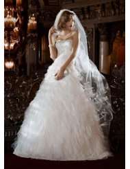 Davids Bridal Wedding Dress: Beaded Lace Gown with Feathery Tulle 