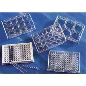 Costar 12 well Multiple well cell culture plates with lid, treated 