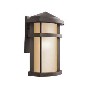   Outdoor Wall Lantern   15H in. Architectural Bronze