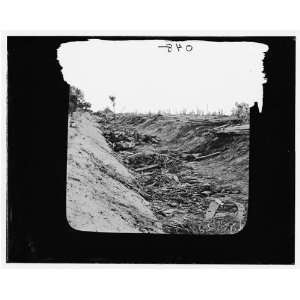   Antietam, Maryland. Confederate dead in a ditch on the right wing