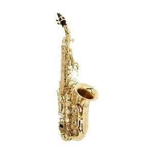   Vienna Series Intermediate Curved Soprano Saxophone Aasc 503   Lacquer