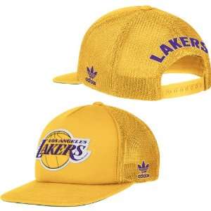   Adidas Los Angeles Lakers Foam & Mesh Snapback Hat: Sports & Outdoors