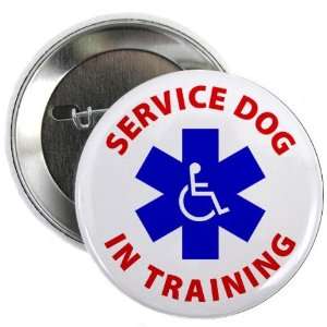  SERVICE DOG IN TRAINING Medical Alert 2.25 Pinback Button 