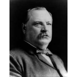  8 1/2 X 11 Presidential Portrait   Grover Cleveland 