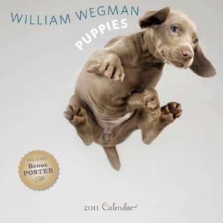  William Wegman Puppies 2011 Wall Calendar (9780810988996 