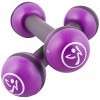 Zumba 2.5 lb Purple Toning Sticks  have fun & tone too  