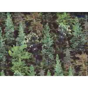   South Sea Imports, Dark Green Evergreen Trees Arts, Crafts & Sewing