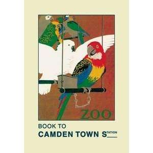 Vintage Art London Zoo Exotic Birds   01470 9