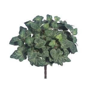  17 Heart Ivy Bush x9 w/108 Lvs. Frosted Green (Pack of 12 