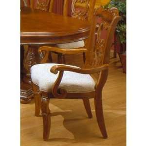  Wynwood 1635 57 Cordoba Carved Back Arm Chair in Burnished 