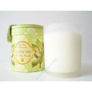 Michel Design Works Lily of the Valley Soy Wax Candle 