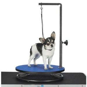   TP98018/TP160 19 Small Pet Grooming Table with Top