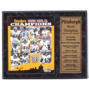 Pittsburgh Steelers 2005 World Champion Limited Edition 
