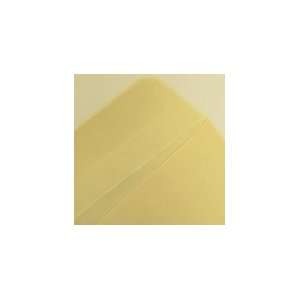  Manila Catalog 9x12 28lb Envelope 500/box: Office Products
