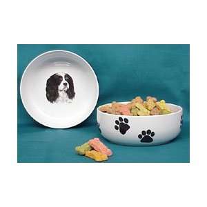  Cavalier King Charles Spaniel Dog Bowl: Pet Supplies