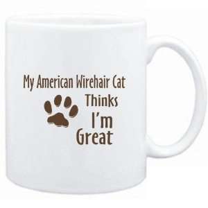  Mug White  MY American Wirehair THINKS IM GREAT  Cats 