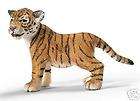live tiger cub  