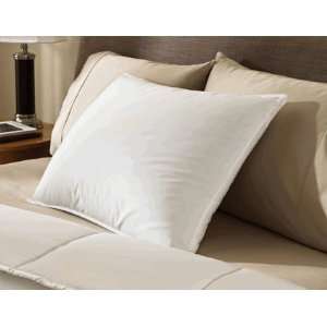 Encompass Group ® 50/50 White Duck Feather and Down Pillow Queen Size 