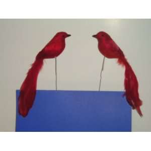  8 Red Bird (2 Pieces) 