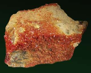 75 Flame Red GEM VANADANITE Gemmy Crystals   Morocco  