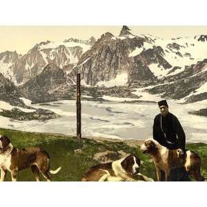 Vintage Travel Poster   St. Bernard dogs Valais Alps of Switzerland 24 