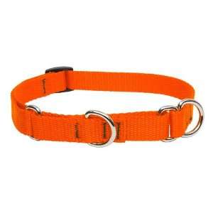  3/4 Blaze Orange 10 14 Combo Collar: Pet Supplies