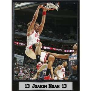   Plaque  Chicago Bulls / Joakim Noah Case Pack 14: Sports & Outdoors