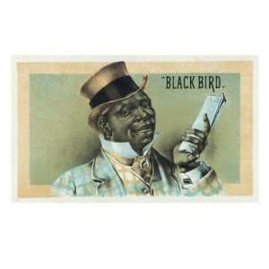  Black Bird Brand Cigar Box Label, African American Giclee 