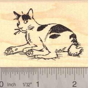  American Bobtail Cat Rubber Stamp: Arts, Crafts & Sewing