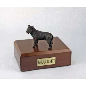    Pet Urns: Staffordshire Bull Terrier, Brindle: Pet Supplies