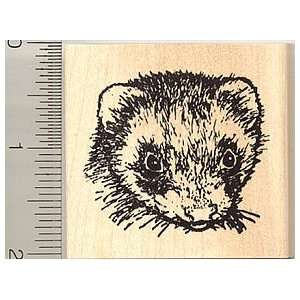  Ferret Face Rubber Stamp Arts, Crafts & Sewing