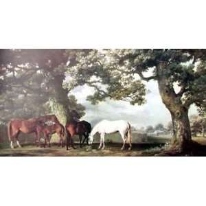    Mares And Foals In A Wooded Landscape    Print