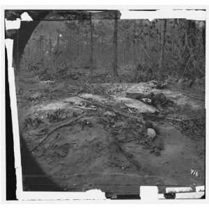  Civil War Reprint Cold Harbor, Va., vicinity. Unburied dead 