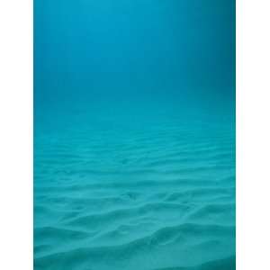  Underwater Shot of Clear Blue Water off of the Virgin 