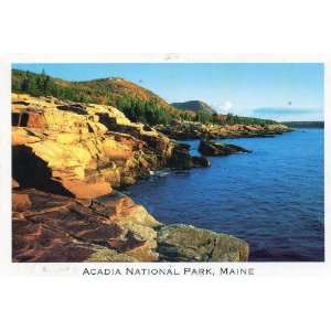 Post Card, OUR NATIONAL PARKS ARE NOT FOR SALE Acadia National Park 