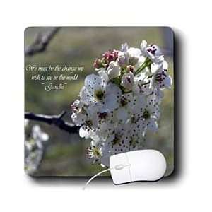   Floral Prints   Bartlett Pear Tree Flowers   Mouse Pads Electronics