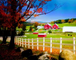 Vermont Farm in Autumn. Peacham, Vermont.