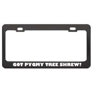 Got Pygmy Tree Shrew? Animals Pets Black Metal License Plate Frame 