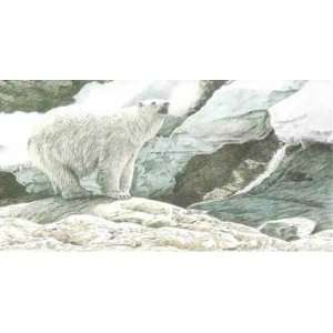  Terry Isaac   Polar Bear North American Portfolio Original 