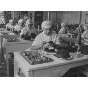  Astrakhan Factory Workers Canning Caviar Premium 
