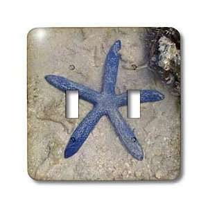  Albom Design Animals   Rare Blue Sea Star starfish Waters 