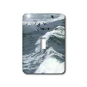 Florene Water landscape   Ocean Waves With Pelicans   Light Switch 