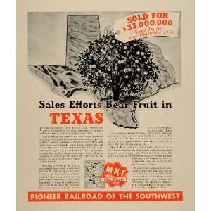   Southwest Texas Produce Katy   Original Print Ad