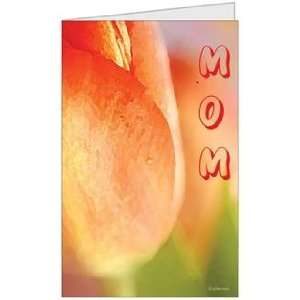 Birthday Love Humor Mom Mother (5x7) Greeting Card by QuickieCards 