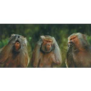  (5x9) Three Baboons See No Evil Hear No Evil Speak No Evil 