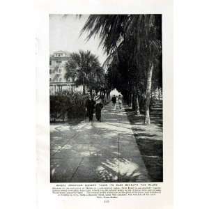    c1920 AMERICA FLORIDA PALM BEACH CALIFORNIA CAMPING