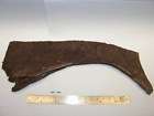 Dinosaur Fossil Triceratops Nose Horn and Nasals MUSEUM QUALITY 