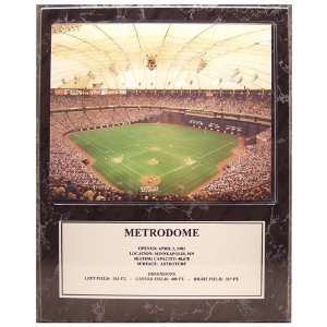  MLB Twins / Metrodome Stadium Plaque: Sports & Outdoors